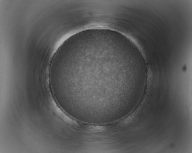 X0000116581382200912101530