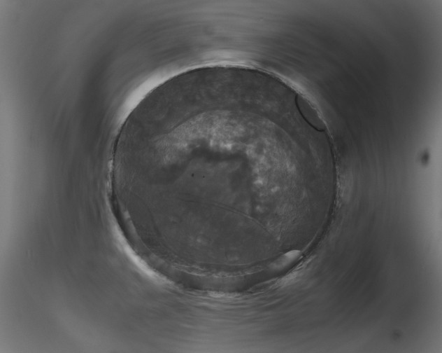 X0000116581383200912101530