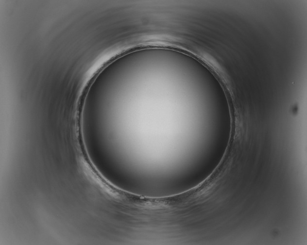 X0000116581384200912101530