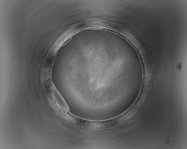 X0000116581385200912101530