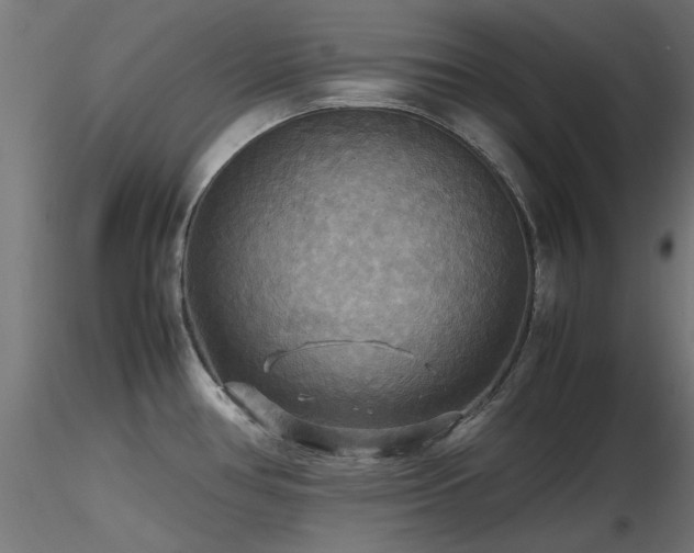 X0000116581386200912101530