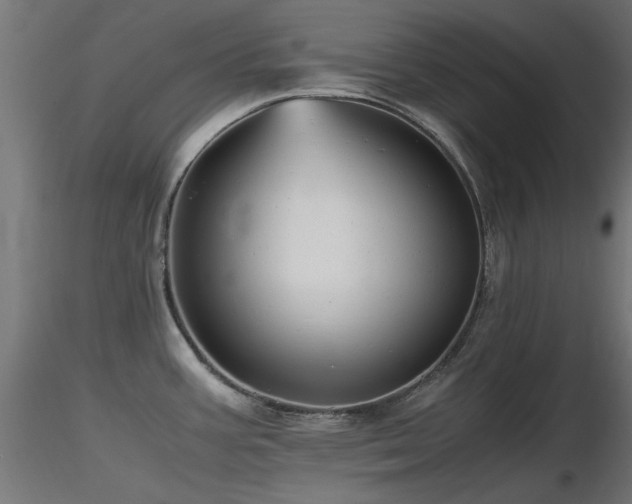 X0000116581387200912101530
