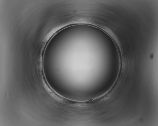 X0000116581388200912101530
