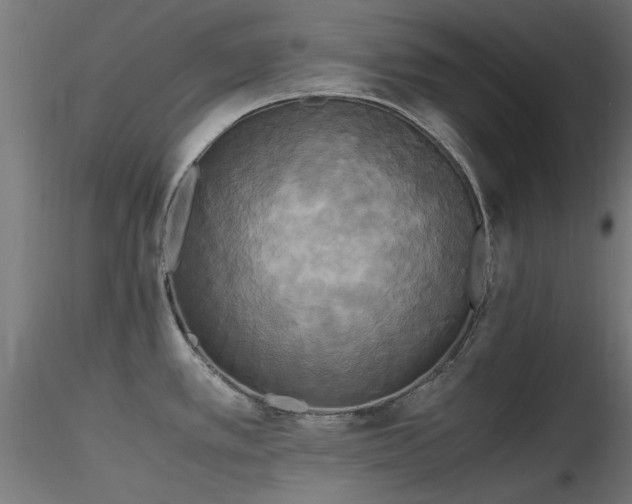 X0000116581389200912101530