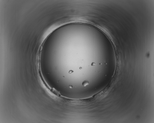 X0000116581391200912101530
