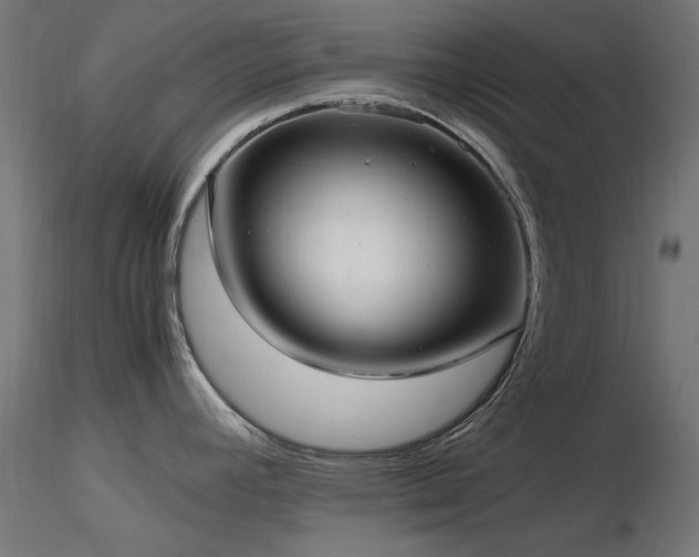 X0000116581392200912101530