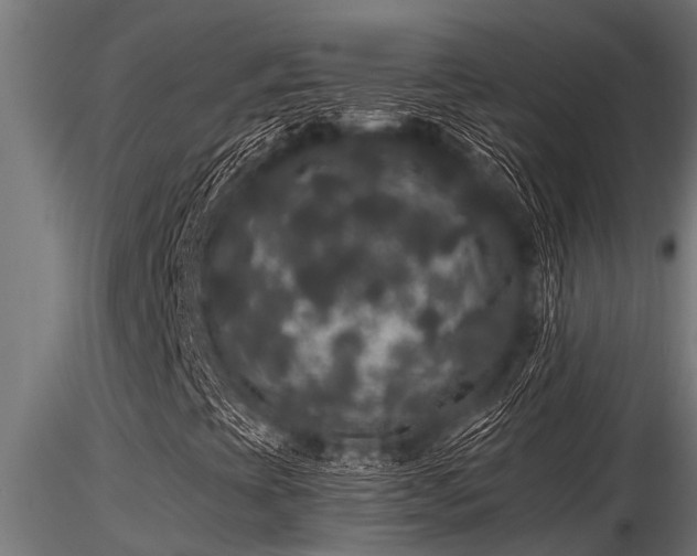 X0000116581393200912101529