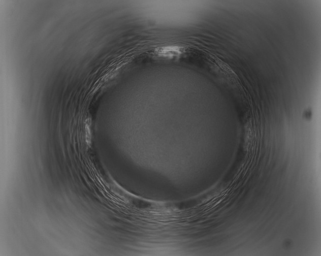 X0000116581394200912101529