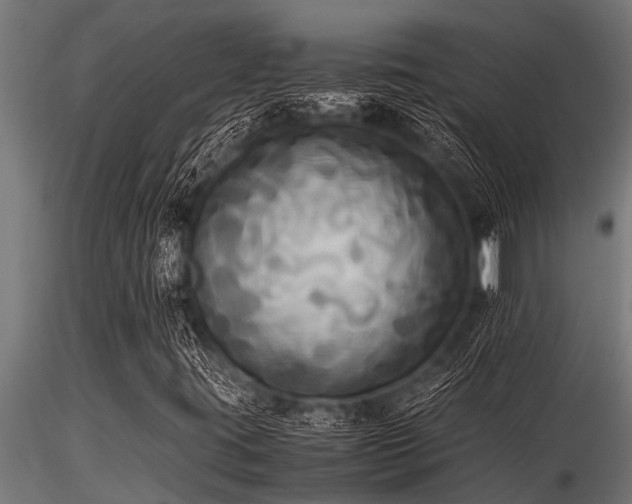 X0000116581395200912101529