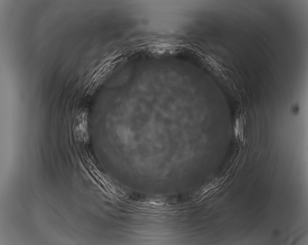 X0000116581396200912101529