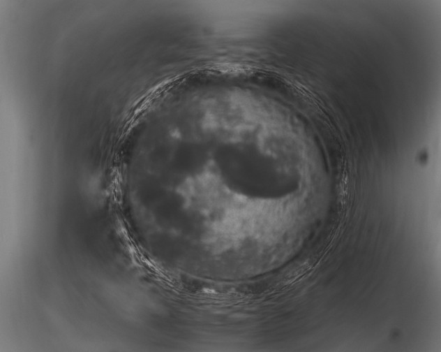 X0000116581397200912101529