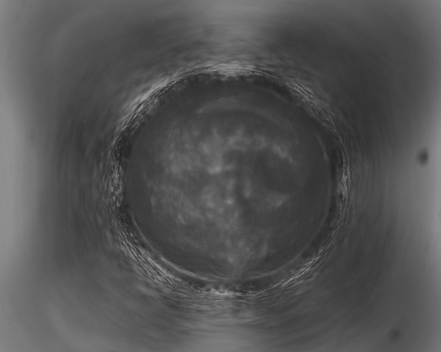 X0000116581398200912101529