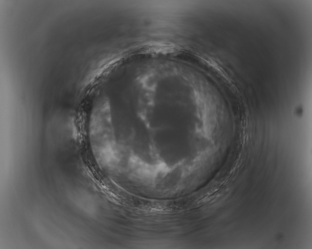 X0000116581399200912101529