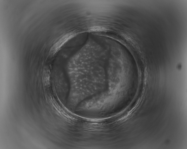 X0000116581401200912101529