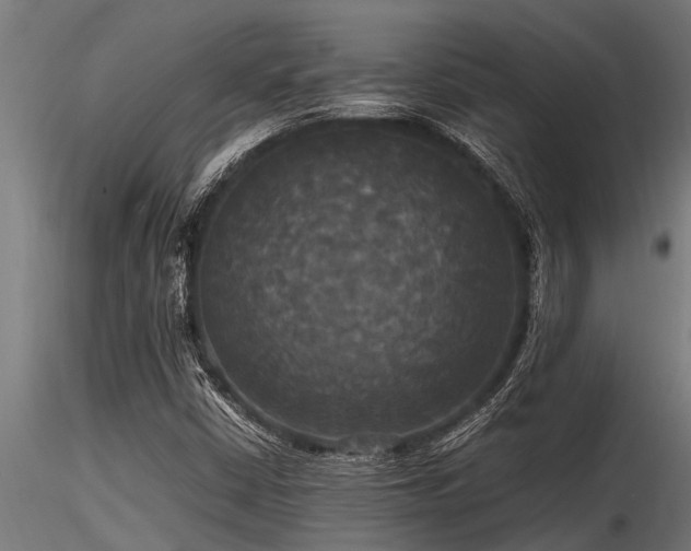 X0000116581402200912101529