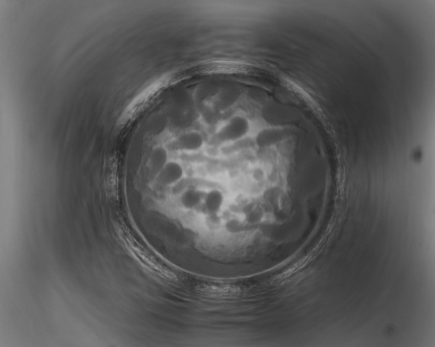 X0000116581403200912101530