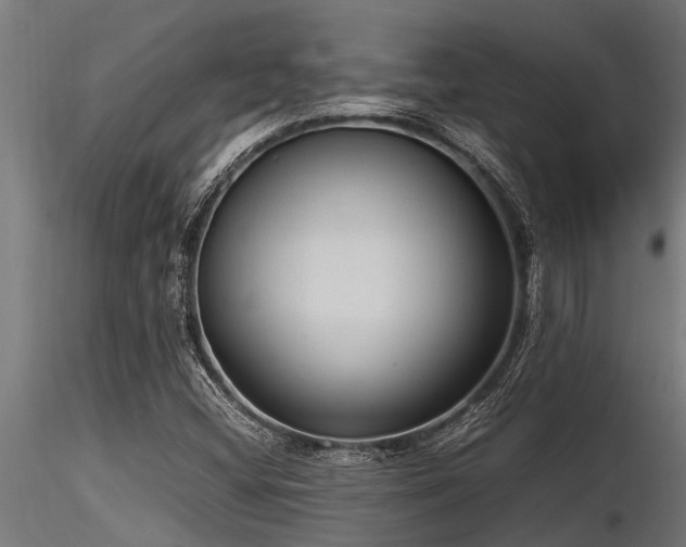 X0000116581404200912101530