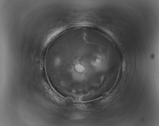 X0000116581405200912101530