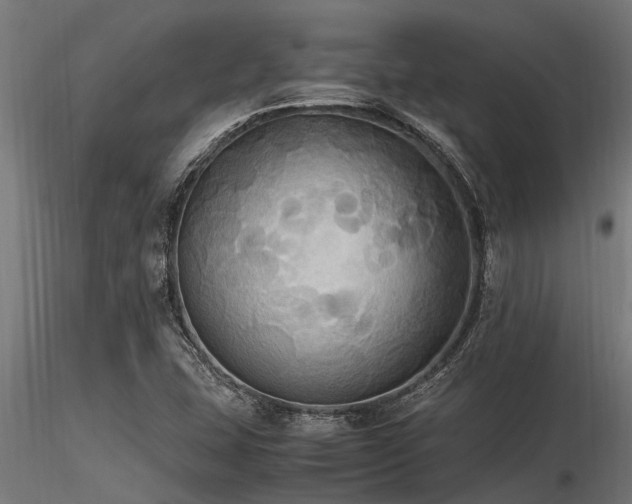 X0000116581407200912101530