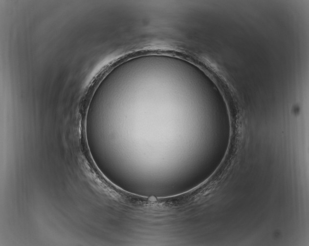 X0000116581408200912101530