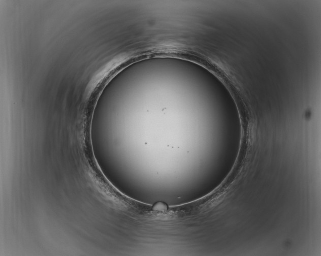 X0000116581410200912101530