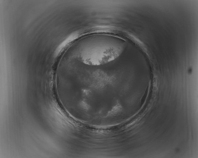 X0000116581411200912101530