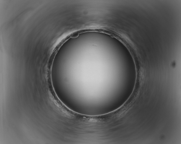 X0000116581412200912101530