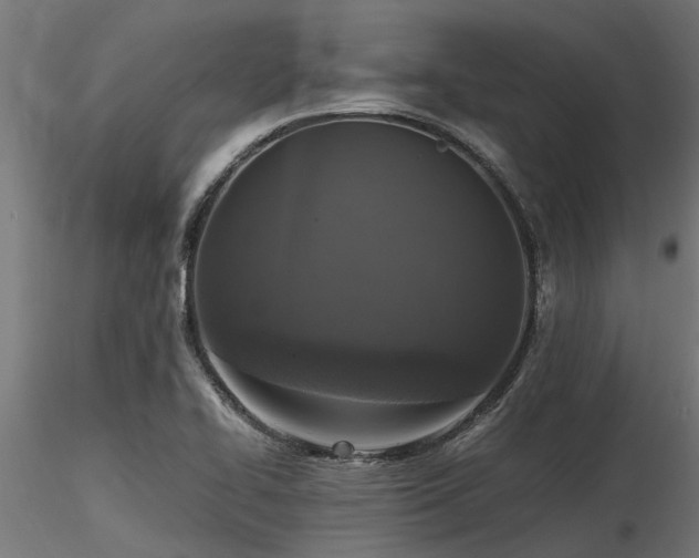X0000116581414200912101530