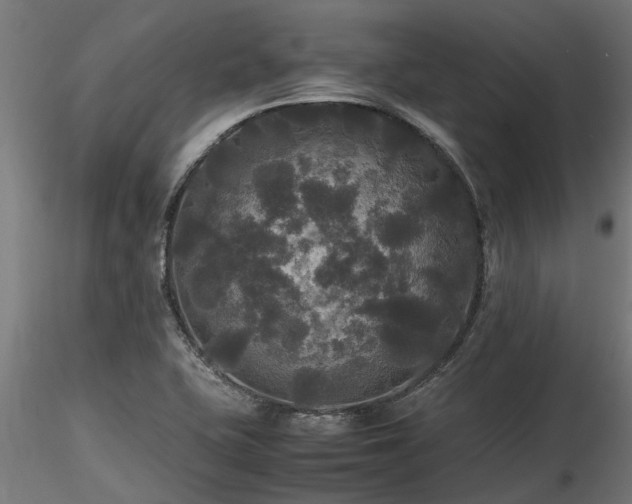 X0000116581415200912101530