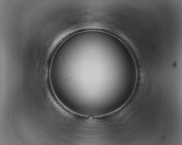 X0000116581416200912101530