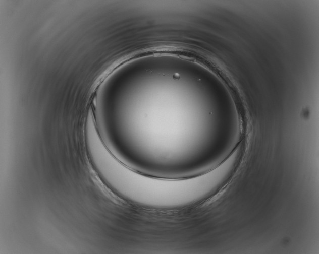 X0000116581417200912101530