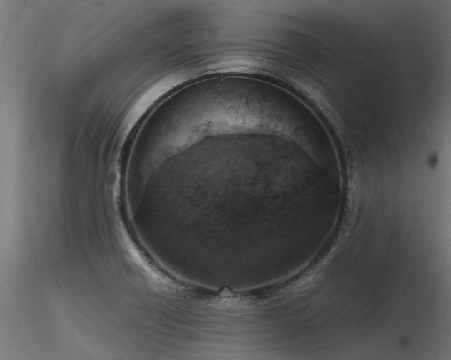 X0000116581418200912101530