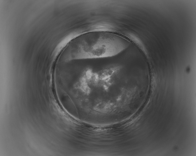 X0000116581419200912101530