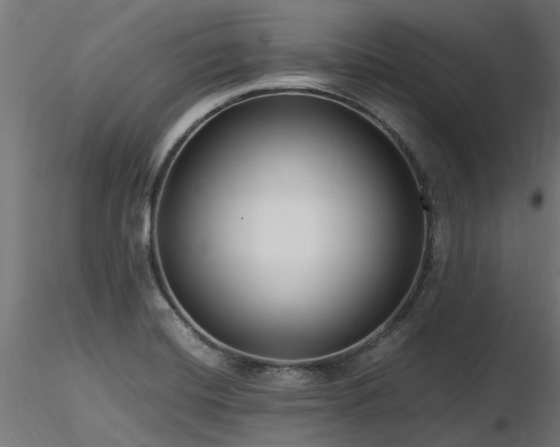 X0000116581420200912101530