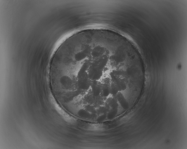 X0000116581421200912101530