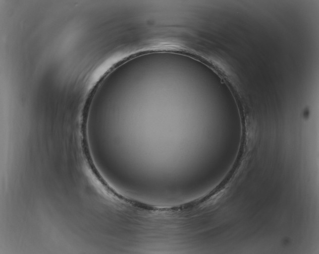 X0000116581422200912101530