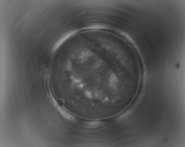 X0000116581425200912101530