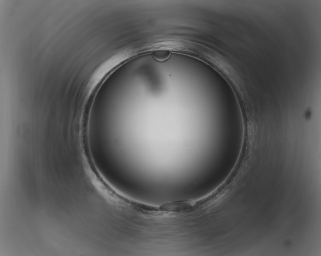 X0000116581426200912101530