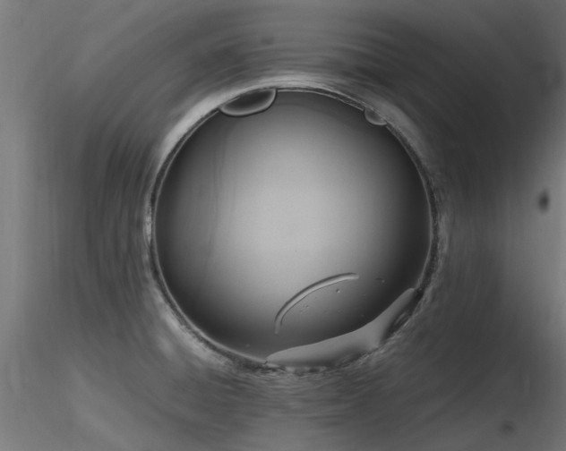 X0000116581428200912101530