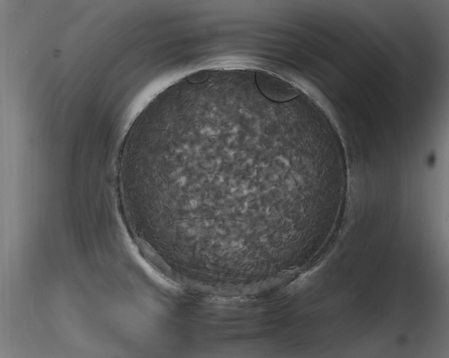 X0000116581429200912101530