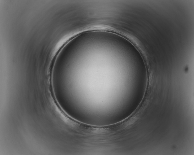 X0000116581430200912101530