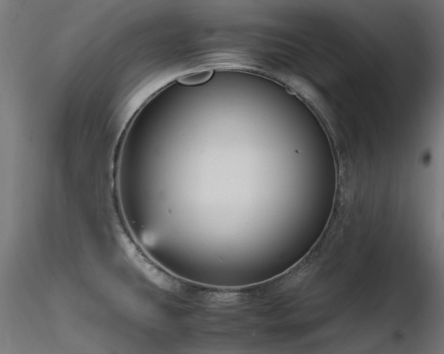 X0000116581431200912101530