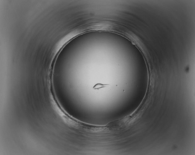X0000116581434200912101530