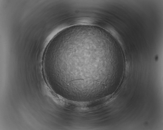X0000116581435200912101530