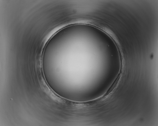 X0000116581436200912101530