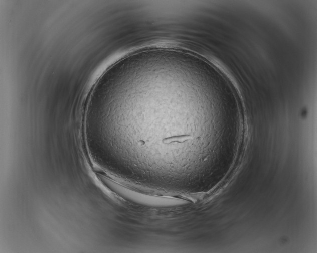 X0000116581437200912101530