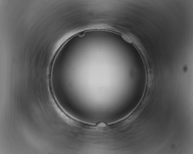 X0000116581438200912101530