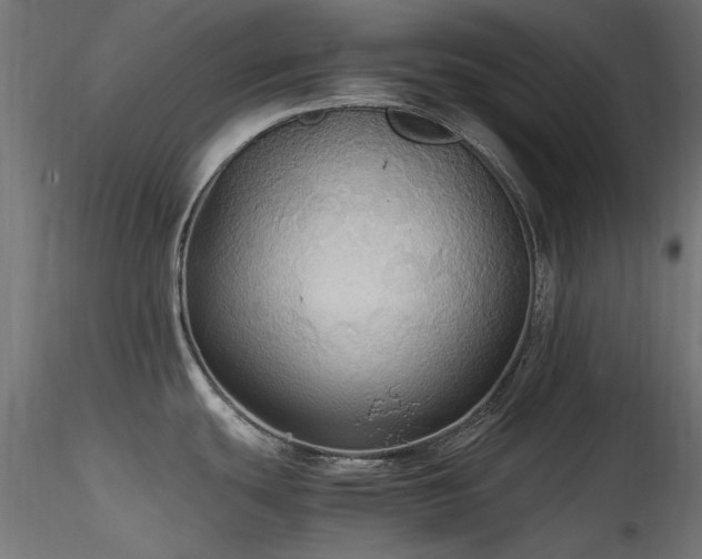 X0000116581439200912101530