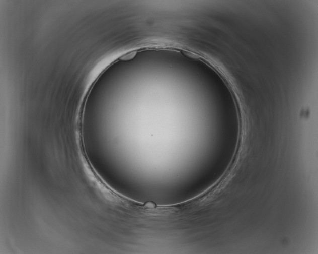X0000116581440200912101530