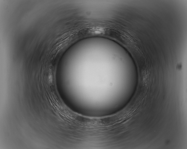 X0000116581442200912101529